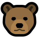 ms_bear